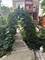 3230 W Fulton, Chicago, IL 60624