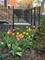3230 W Fulton, Chicago, IL 60624
