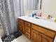 1615 Richmond Unit 301, Joliet, IL 60435