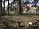 9321 S Green, Chicago, IL 60620