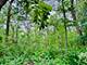 26628 S Kimberly, Channahon, IL 60410
