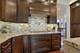 13440 Dokter, Homer Glen, IL 60491
