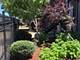 6643 W Belmont Unit 1, Chicago, IL 60634