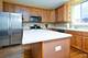 13251 Strandhill, Orland Park, IL 60462