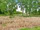 1196 Edgewater, Antioch, IL 60002