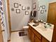 18233 Eagle, Tinley Park, IL 60477