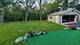 224 E 58th, Westmont, IL 60559