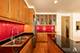11333 S Langley, Chicago, IL 60628