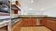 1416 S Emerald, Chicago, IL 60607
