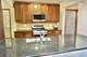 4811 N Olcott Unit 510, Harwood Heights, IL 60706