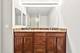 1629 S Prairie Unit 1402, Chicago, IL 60616