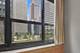 130 S Canal Unit 216, Chicago, IL 60606