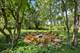 300 Geneva, Glen Ellyn, IL 60137