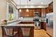 2441 N Sawyer Unit 1N, Chicago, IL 60647