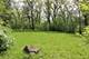 26055 W Wooster Lake, Ingleside, IL 60041