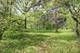 26055 W Wooster Lake, Ingleside, IL 60041