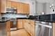 2256 W Wolfram, Chicago, IL 60618