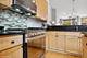 2256 W Wolfram, Chicago, IL 60618