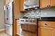 2256 W Wolfram, Chicago, IL 60618