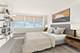 1150 N Lake Shore Unit 13D, Chicago, IL 60611