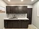 11319 S Green Bay, Chicago, IL 60617