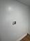 1537 N Mason, Chicago, IL 60651