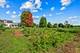 3N369 Lafox, St. Charles, IL 60175