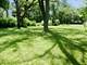 18055 Thomas, Country Club Hills, IL 60478