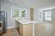 2127 S Marshall Unit 1, Chicago, IL 60623
