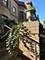 5484 S Hyde Park, Chicago, IL 60615