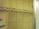 21 W Goethe Unit 6L, Chicago, IL 60610