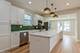3311 W Belle Plaine, Chicago, IL 60618