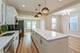 3311 W Belle Plaine, Chicago, IL 60618