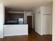 1901 S Calumet Unit 2211, Chicago, IL 60616