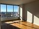 1901 S Calumet Unit 2211, Chicago, IL 60616