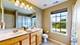 532 Nunda, Crystal Lake, IL 60012