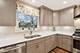 32225 N Pine, Grayslake, IL 60030