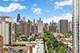 1555 N Dearborn Unit 17DE, Chicago, IL 60610