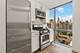 1555 N Dearborn Unit 17DE, Chicago, IL 60610
