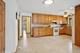 542 S Cherry, Itasca, IL 60143
