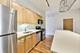 1430 S Michigan Unit 311, Chicago, IL 60605