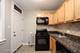 1003 S Oak Park Unit 4, Oak Park, IL 60304