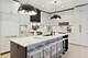 218 E 46th, Chicago, IL 60653