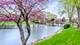 601 Lake Hinsdale Unit 411, Willowbrook, IL 60527