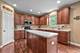 3056 Seekonk, Elgin, IL 60124