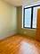 910 S Michigan Unit 608, Chicago, IL 60605