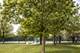 1212 Gloucester, Woodridge, IL 60517