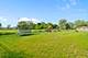 15124 Emerson, Plainfield, IL 60544