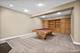 53 Abbeyfeale, Oswego, IL 60543