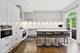 1733 S Prairie, Chicago, IL 60616